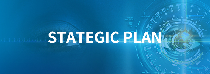 Strategic Plan