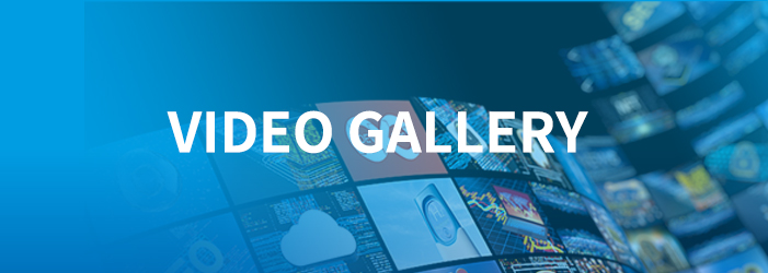 Video Gallery