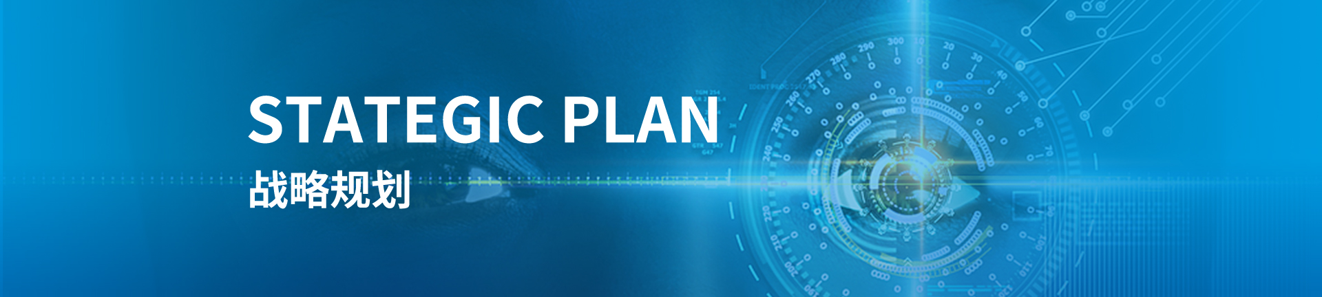战略规划