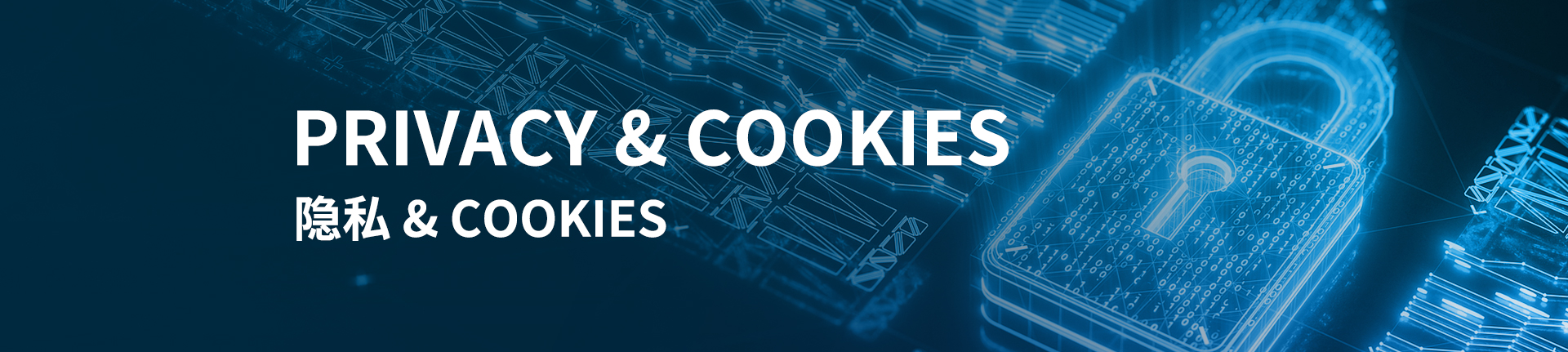 隐私政策与Cookies使用说明